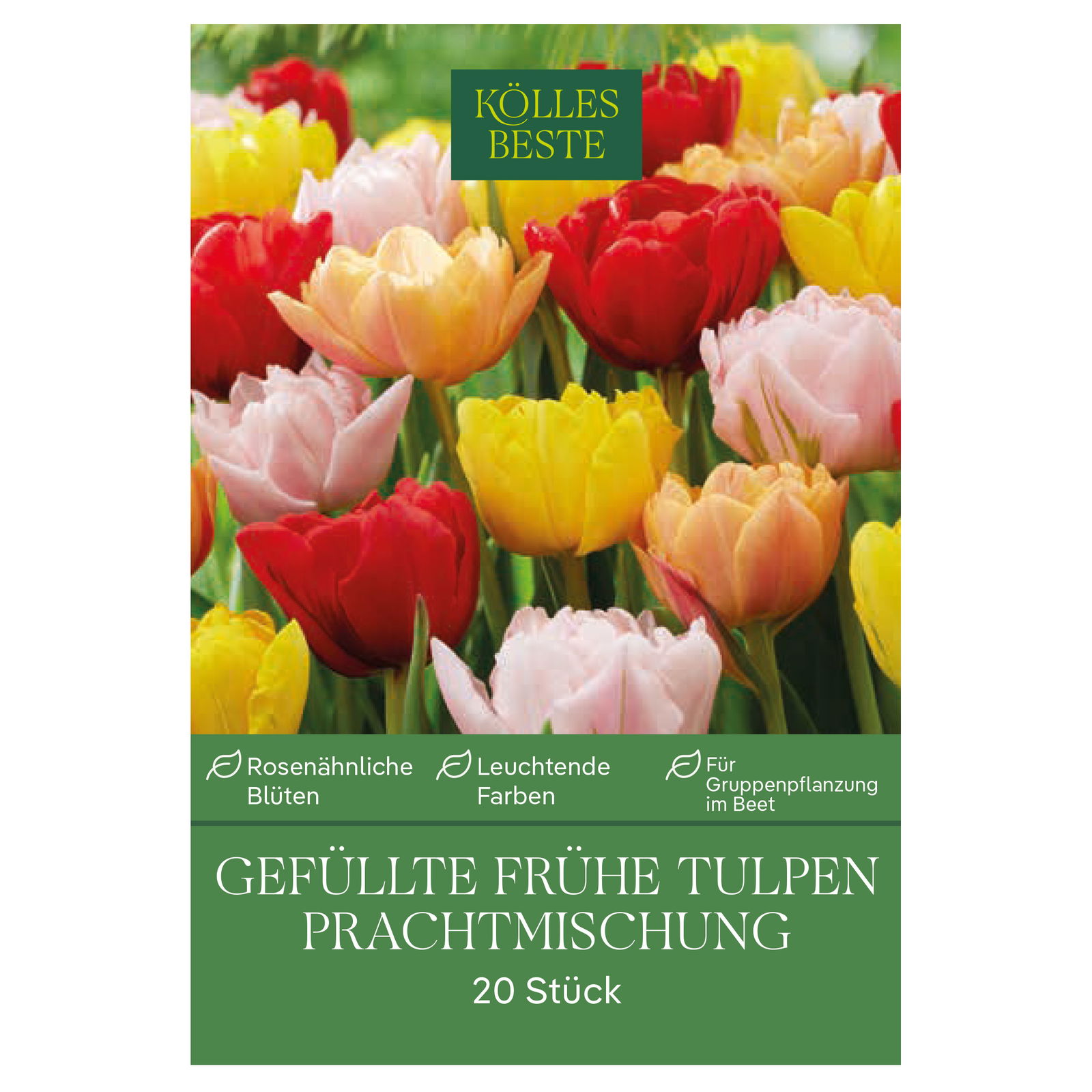 Gefüllte frühe Tulpen Prachtmischung 20 Blumenzwiebeln Gefüllte frühe Tulpen Prachtmischung 20 Blumenzwiebeln