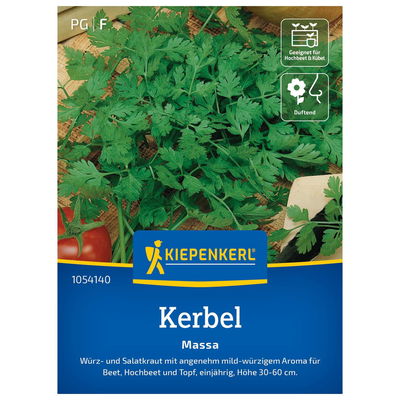 Gemüsesamen, Kerbel 'Massa' Gemüsesamen, Kerbel 'Massa'