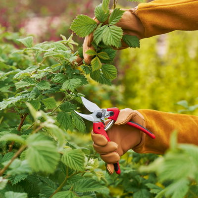 Felco Baumschere Nr. 171-M