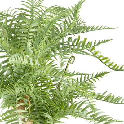 Kunstpflanze Goldrückenfarn, Höhe ca. 66 cm