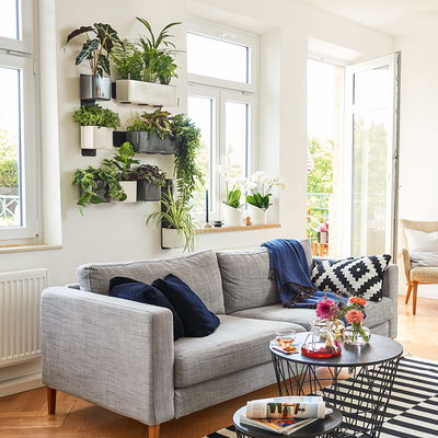 Lechuza Magnethalter für Green Wall, schwarz Lechuza Magnethalter für Green Wall, schwarz