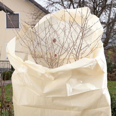 Kölles Beste Schutzvlies, beige, L5 x B1,5 m Kölles Beste Schutzvlies, beige, L5 x B1,5 m