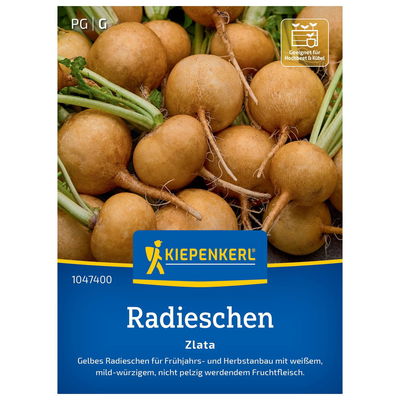 Gemüsesamen, Radieschen 'Zlata', gelb
