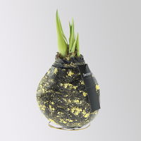 Amaryllis in Wachs, Dekor 'Galaxy Black', Blüte rot