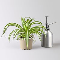 Grünpflanzenset für Grüne Wand, bunter Mix, Topf-Ø 8,5 cm, 12 Pflanzen