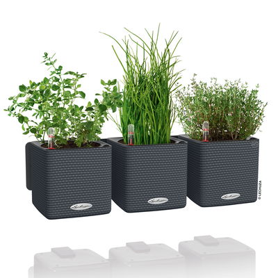 Lechuza 'Green Wall Home Kit Color', schiefergrau, ca. 48 x 15 x H 14 cm