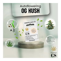 Cannabis Saatgut Hanf 'OG Kush Auto'