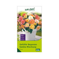 Gefüllte Begonien Samba, 3 Blumenknollen