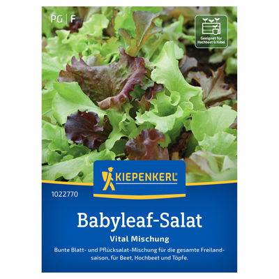 Kiepenkerl Saatgutmischung Babyleaf-Salat 'Vital' Kiepenkerl Saatgutmischung Babyleaf-Salat 'Vital'