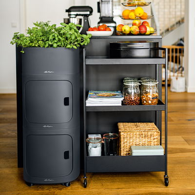 Lechuza 'Pila Color Storage', schiefergrau, ca. 35 x 35 x H 32,5 cm Lechuza 'Pila Color Storage', schiefergrau, ca. 35 x 35 x H 32,5 cm