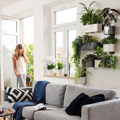 Lechuza 'Green Wall Home Kit Glossy', anthrazit highgloss