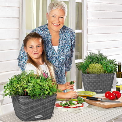 Lechuza 'Bacino Cottage', granit, ca. 30 x 30 x H 18 cm Lechuza 'Bacino Cottage', granit, ca. 30 x 30 x H 18 cm