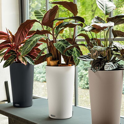 Lechuza 'Cilindro Color 32', weiß, ca. Ø 32 x H 56 cm Lechuza 'Cilindro Color 32', weiß, ca. Ø 32 x H 56 cm