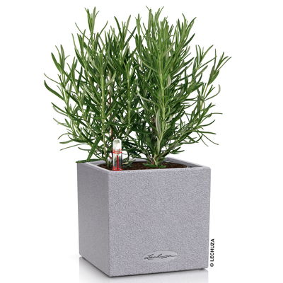 Lechuza 'Canto Stone 14', steingrau, ca. 14 x 14 x H 13,5 cm