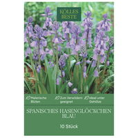 Kölles Beste Waldhyazinthen (Hyacinthoides Hispanica) blau, 10 Stück