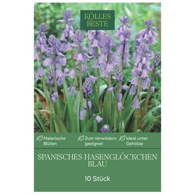 Kölles Beste Waldhyazinthen (Hyacinthoides Hispanica) blau, 10 Stück Kölles Beste Waldhyazinthen (Hyacinthoides Hispanica) blau, 10 Stück