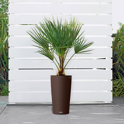 Lechuza 'Cilindro Cottage 23', mokka, ca. Ø 23 x H 41 cm