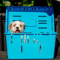 Nobby Transportbox 'Pet Caddy II', Kunststoff, ca. 55 x 37 x 33 cm