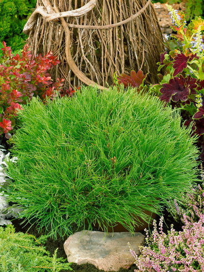 Weber Flaschenhalter 'Works' für alle Slate und Spirit-Modelle Weber Flaschenhalter 'Works' für alle Slate und Spirit-Modelle