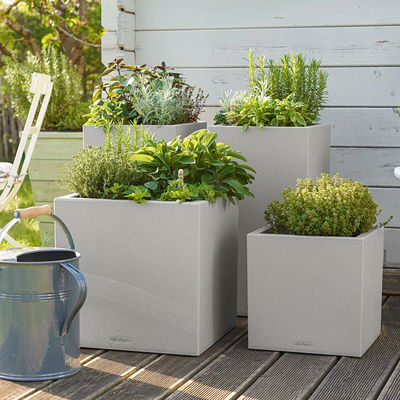 Lechuza 'Canto Stone 30 low', steingrau, ca. 30 x 30 x H 30 cm