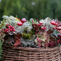 Gartenschule Kreativ Gartenschule Kreativ