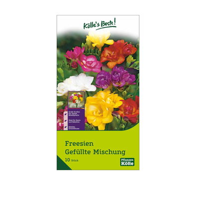 Freesien Gefüllte Mischung, Farbmix, 10 Blumenzwiebeln