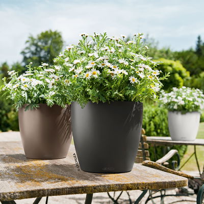 Lechuza 'Classico Color 35', schiefergrau, ca. Ø 34,5 x H 32,5 cm Lechuza 'Classico Color 35', schiefergrau, ca. Ø 34,5 x H 32,5 cm