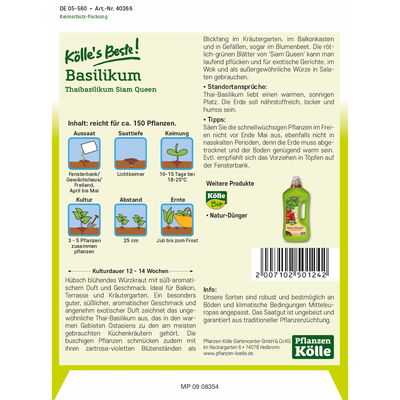 Kölles Beste Kräutersamen Thaibasilikum Siam Queen