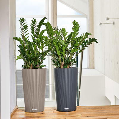 Lechuza 'Cilindro Color 23', sandbraun, ca. Ø 23 x H 41 cm