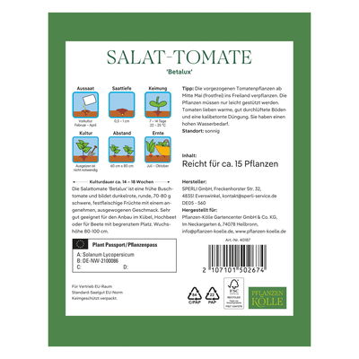 Kölles Beste Saatgut Buschtomate 'Betalux', rot