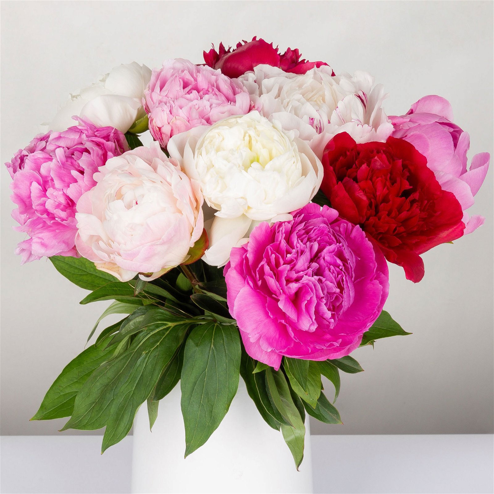 Blumenbund mit Pfingstrosen, 10er-Bund, rot-rosa-weiß, inkl. gratis Grußkarte