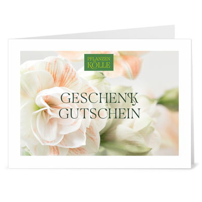 Gutschein zum Ausdrucken 'Amaryllis' Gutschein zum Ausdrucken 'Amaryllis'