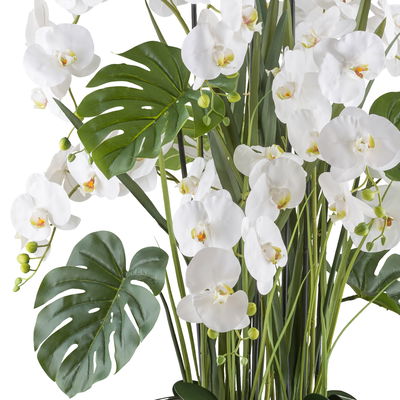 Kunstpflanze Phalaenopsis-Arrangement, grün/weiß, Höhe ca. 140 cm