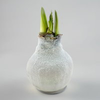 Amaryllis in Wachs XL, Dekor 'Bio-Glitter White', Blüte weiß Amaryllis in Wachs XL, Dekor 'Bio-Glitter White', Blüte weiß