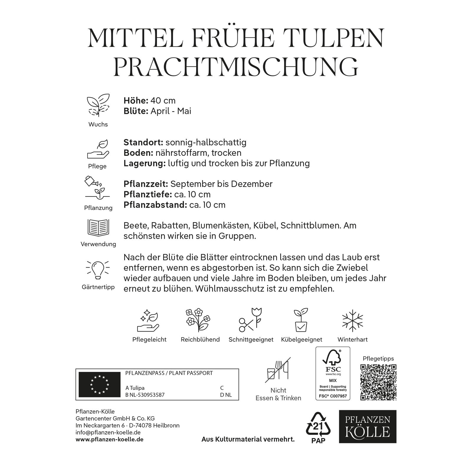 Mittelfrühe Tulpen Prachtmischung, 20 Blumenzwiebeln