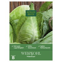Kölles Beste Saatgut Spitzkohl 'Filderkraut', grün