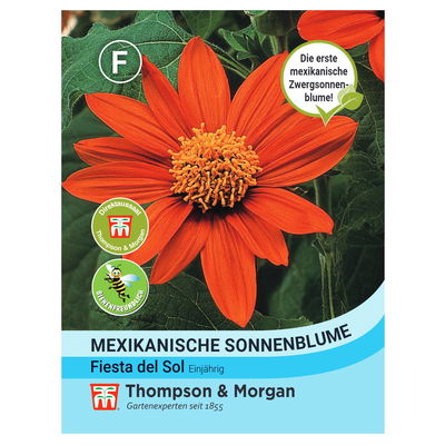 Thompson & Morgan Mexikanische Sonnenblume 'Fiesta Del Sol®', rot Thompson & Morgan Mexikanische Sonnenblume 'Fiesta Del Sol®', rot