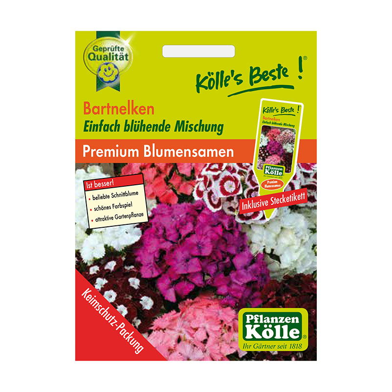 Kölle's Beste Blumensamen Bartnelke (Dianthus barbatus)