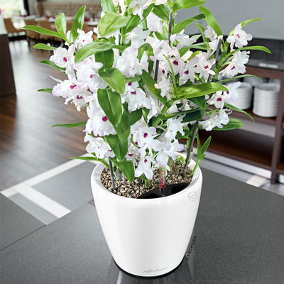 Lechuza 'Classico Premium LS 43', weiß, ca. Ø 43 x H 40 cm