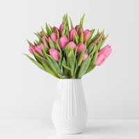 30 rosa Tulpen 30 rosa Tulpen