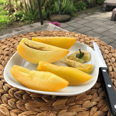 Blu Bio Pepino, Topf-Ø 12 cm, 3er Set