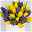 Gemischter Blumenbund 'Frühlingszeit', gelb-blau, inkl. gratis Grußkarte