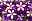 Petunie Crazytunia lucky lilac
