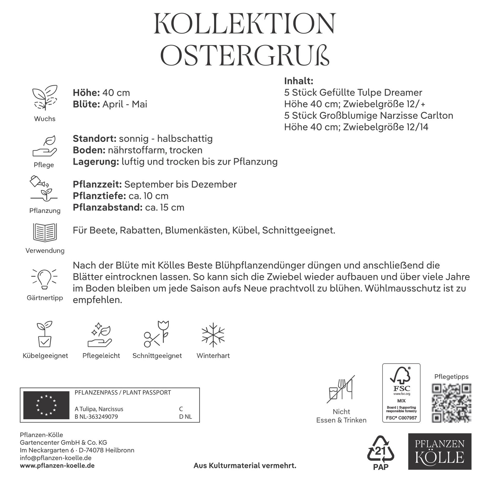 Kölles Beste Kollektion 'Ostergruß' aus Narzissen & Tulpen, 10 Blumenzwiebeln Kölles Beste Kollektion 'Ostergruß' aus Narzissen & Tulpen, 10 Blumenzwiebeln