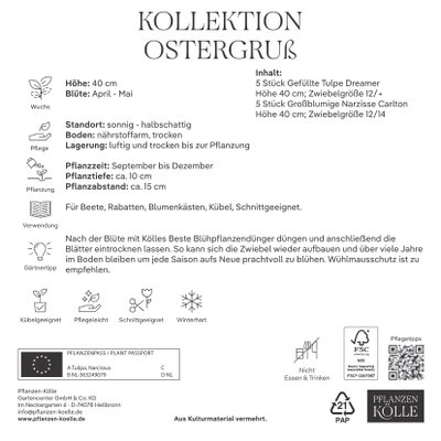 Kölles Beste Kollektion 'Ostergruß' aus Narzissen & Tulpen, 10 Blumenzwiebeln Kölles Beste Kollektion 'Ostergruß' aus Narzissen & Tulpen, 10 Blumenzwiebeln