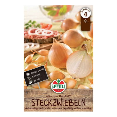 Sperli Steckzwiebel 'Herkules®', gelb, 65 Stück, ca. 200 g