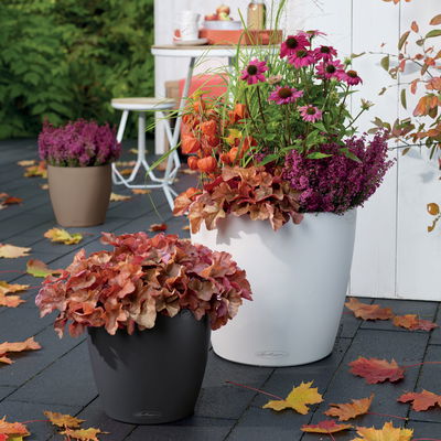 Lechuza 'Classico Color 18', schiefergrau, ca. Ø 19 x H 17 cm