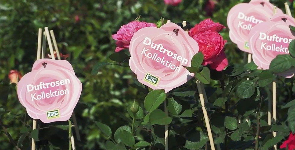 Ein auf die BUGA Heilbronn 2019 PflanzenKölle