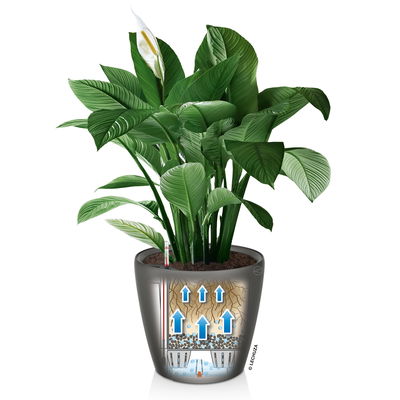 Lechuza 'Quadro LS 21', taupe, ca.21 x 21 x H 20 cm Lechuza 'Quadro LS 21', taupe, ca.21 x 21 x H 20 cm