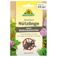 Neudorff Bestell-Set Nützlinge gegen Dickmaulrüssler, 5 Mio Stück Neudorff Bestell-Set Nützlinge gegen Dickmaulrüssler, 5 Mio Stück